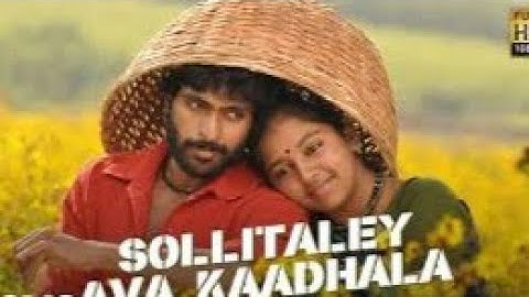 sollitalay_ ava_ kaadhala_ lyrics & kumki movie.