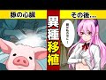 【もしも】ブタの心臓を移植したらどうなるのか？【漫画】