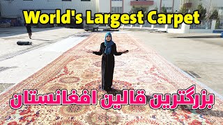 معرفی بزرگترین قالین افغانستان | World's Largest Carpet