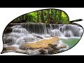 This  peaceful music for deep sleep bring you into heaven in just 3 seconds