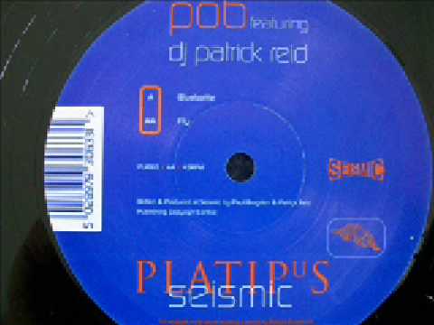 在 YouTube 上观看 pob feat. dj patrick reid- bluebottle