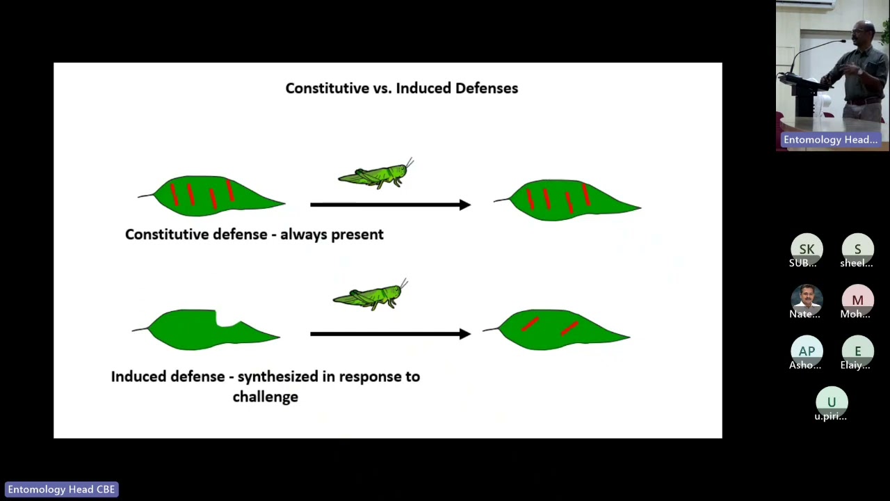 Guest lecture -Plant associated Microbes for Enhancing Plant Defense against Insect Pests 24.03.2023