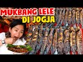 SPEKTAKULER!!! MABOK MANGUT LELE KUAH LOMBOK NOMOR SATU DI JOGJA!!!