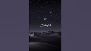 الله نور السماوات والأرض 😴🤍 قران كريم | القارئ ماهر المعيقلي