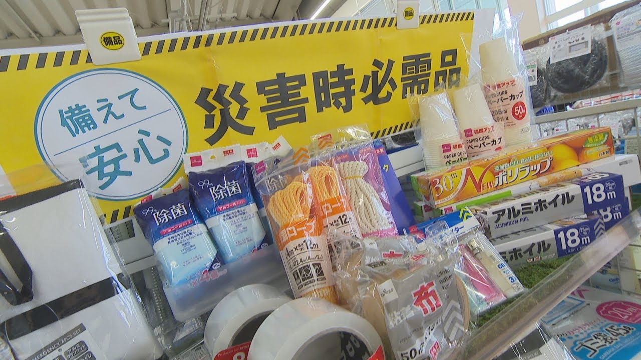 Quick and Easy Disaster Preparedness] 