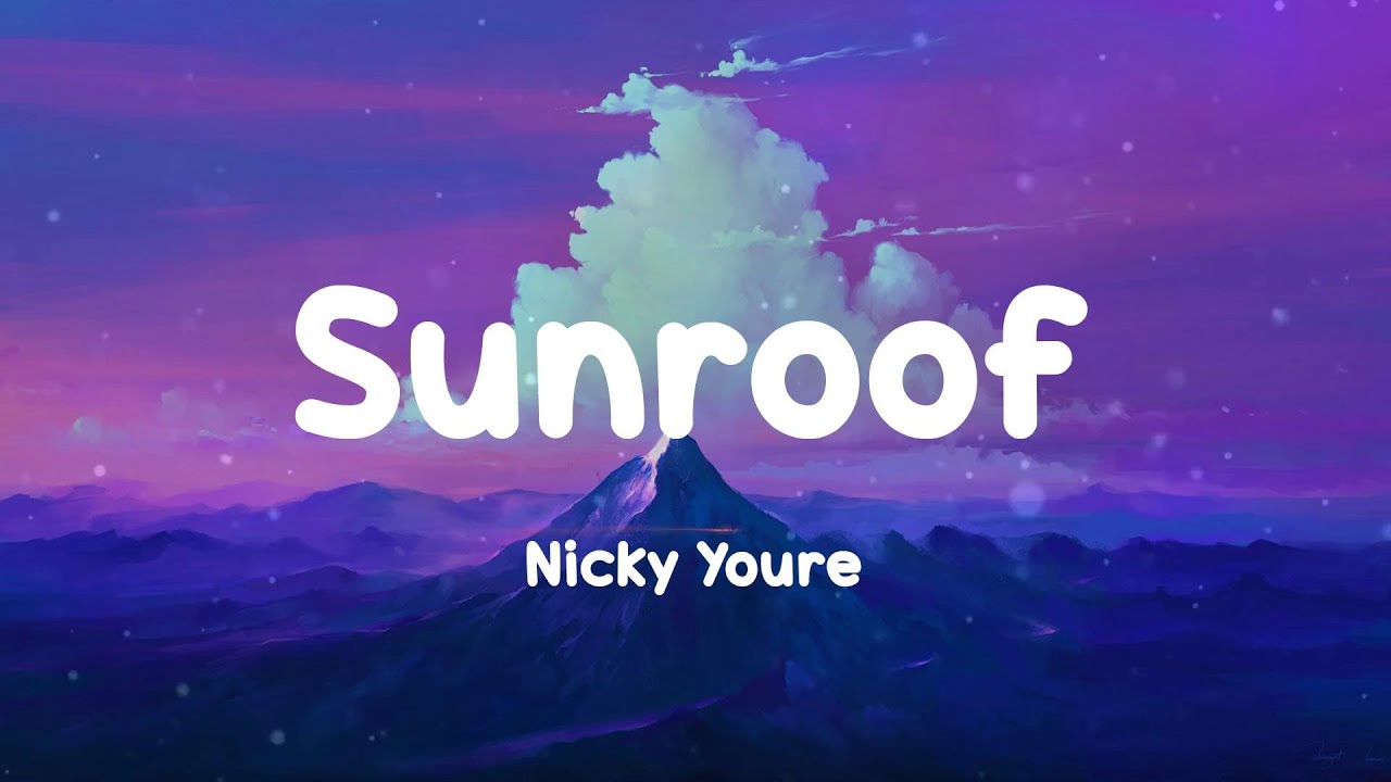 Nicky Youre Sunroof (Lyrics) YouTube