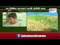Hydroponic grass for goats , junnar goat farm ,Pune ,Maharashtra,India  news on jai maharashtra news