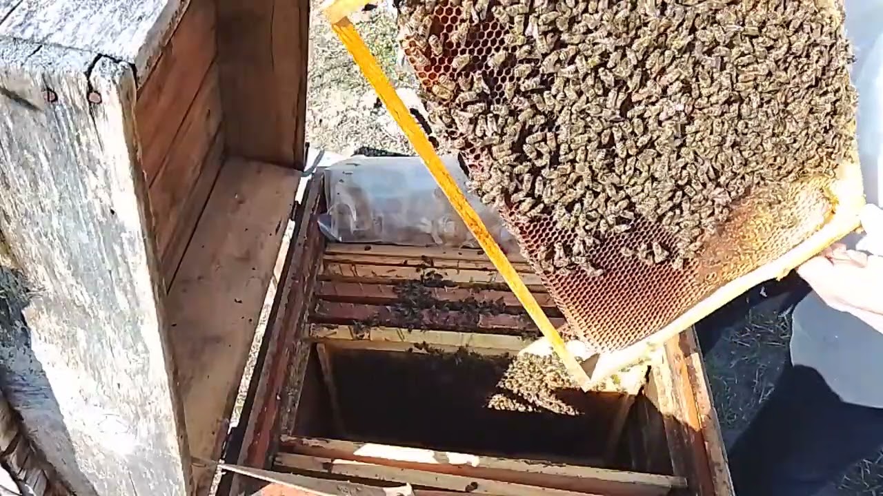 25 февраля 2026 г.