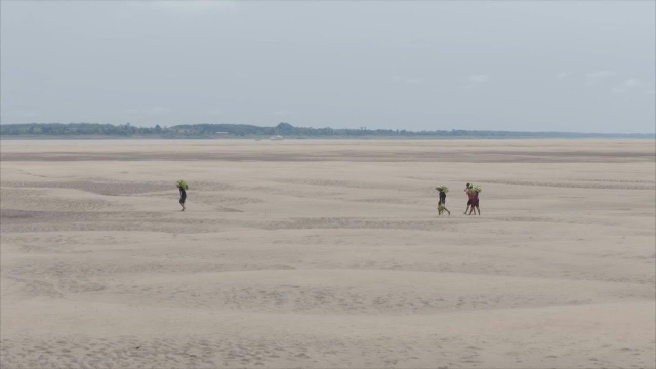 ‘Situação crítica’ em afluentes do rio Amazonas devido à seca no Brasil | AFP