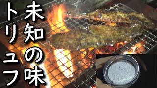 【錬成術】焚き火焼肉にトリュフ塩かけたらあのポテチの味になった