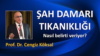 ŞAH DAMARI TIKANIKLIĞI NASIL BELİRTİ VERİYOR? Resimi