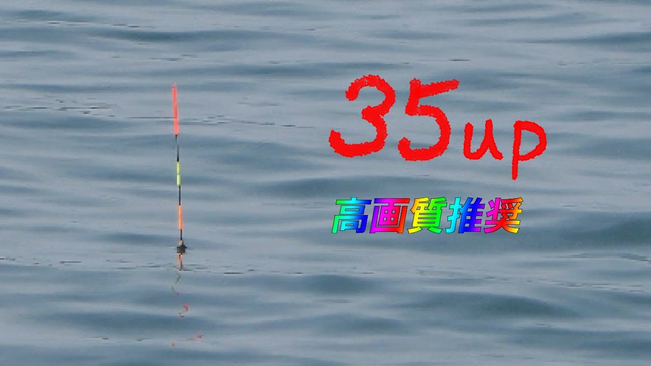 『4K』「ウキあたり、シーン超多め」棒ウキで小さなアタリをガンガン合わせる紀州釣り!! #仙人ウキ