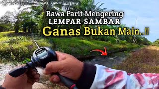 Download Lagu ASLI SERU..!! BIKIN BETAH PEMANCING,MANCING IKAN GABUS DI PARIT RAWA PINGGIR SUNGAI | CESTING GABUS  MP3