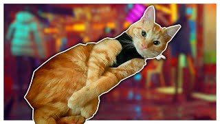 Backpack Kitty Adventures! (Stray) screenshot 2