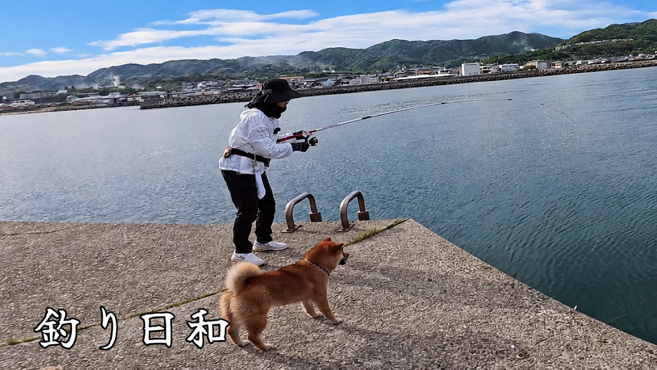 週間日本の魚釣り 1〜209号 Finally, the season for catching Japanese whiting has arrived