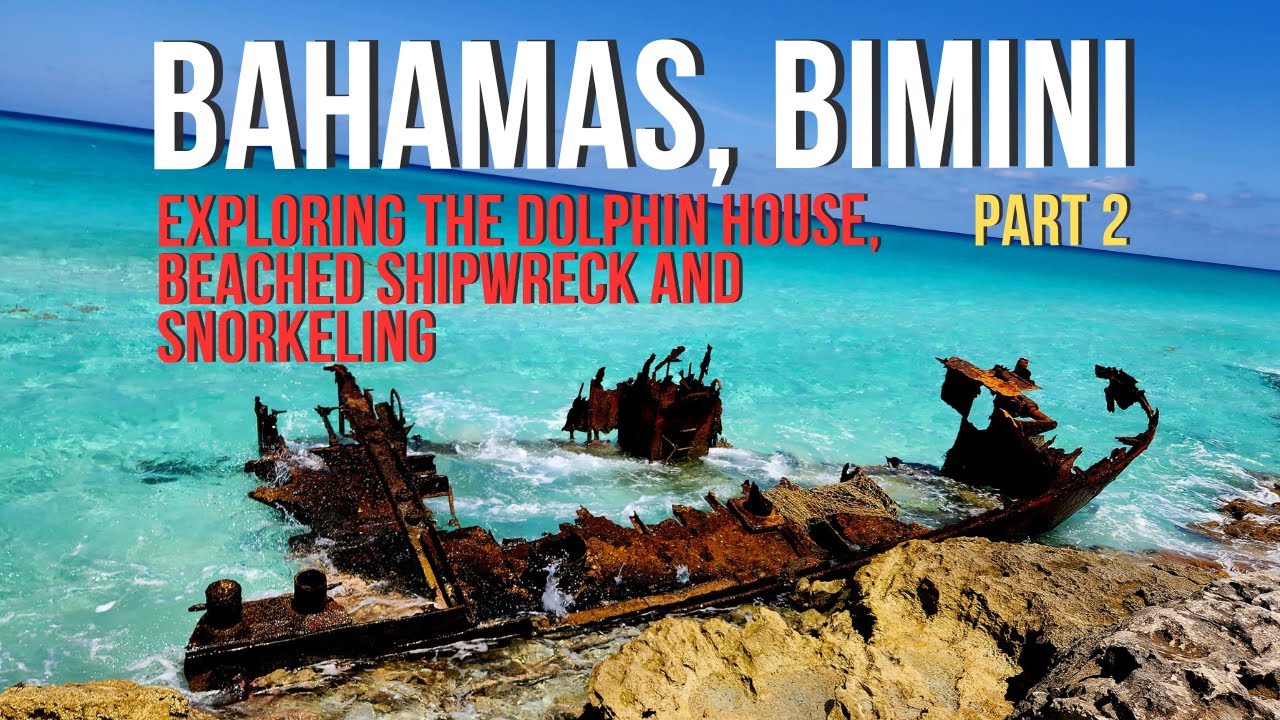 Exploring Bimini Day 2 | Dolphin House + Shipwreck + Snorkeling at Radio Beach EP13P2