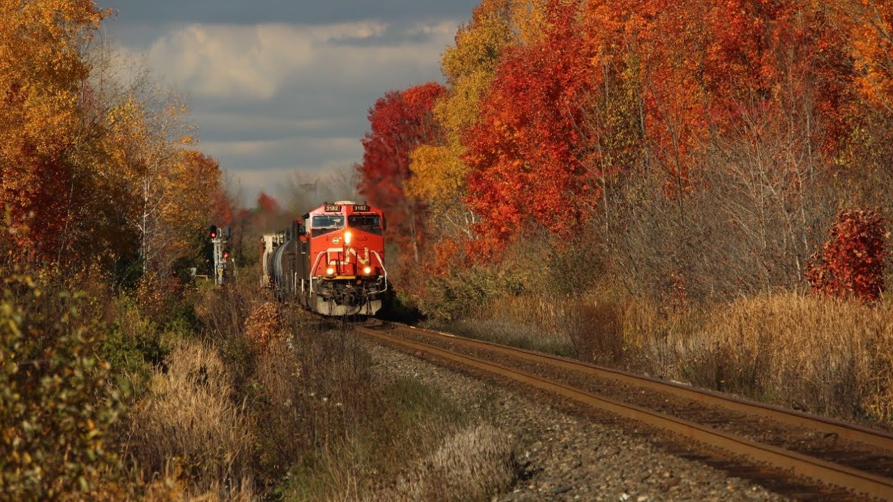 CN A435 - 3182W at Scotch Block - October 29, 2025 - YouTube
