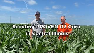 Scouting PROVEN G3 Corn in Central Illinois