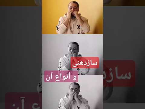 انواع سازدهنی آموزش سازدهنی مقداد گوهرنیا آموزش سازدهنی هارمونیکا انواع سازدهنی سازدهنی