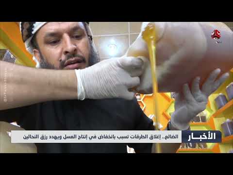 الضالع... إغلاق الطرقات تسبب بانخفاض في إنتاج العسل ويهدد رزق النحالين