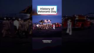 History of Veterans Day! #DPAShorts