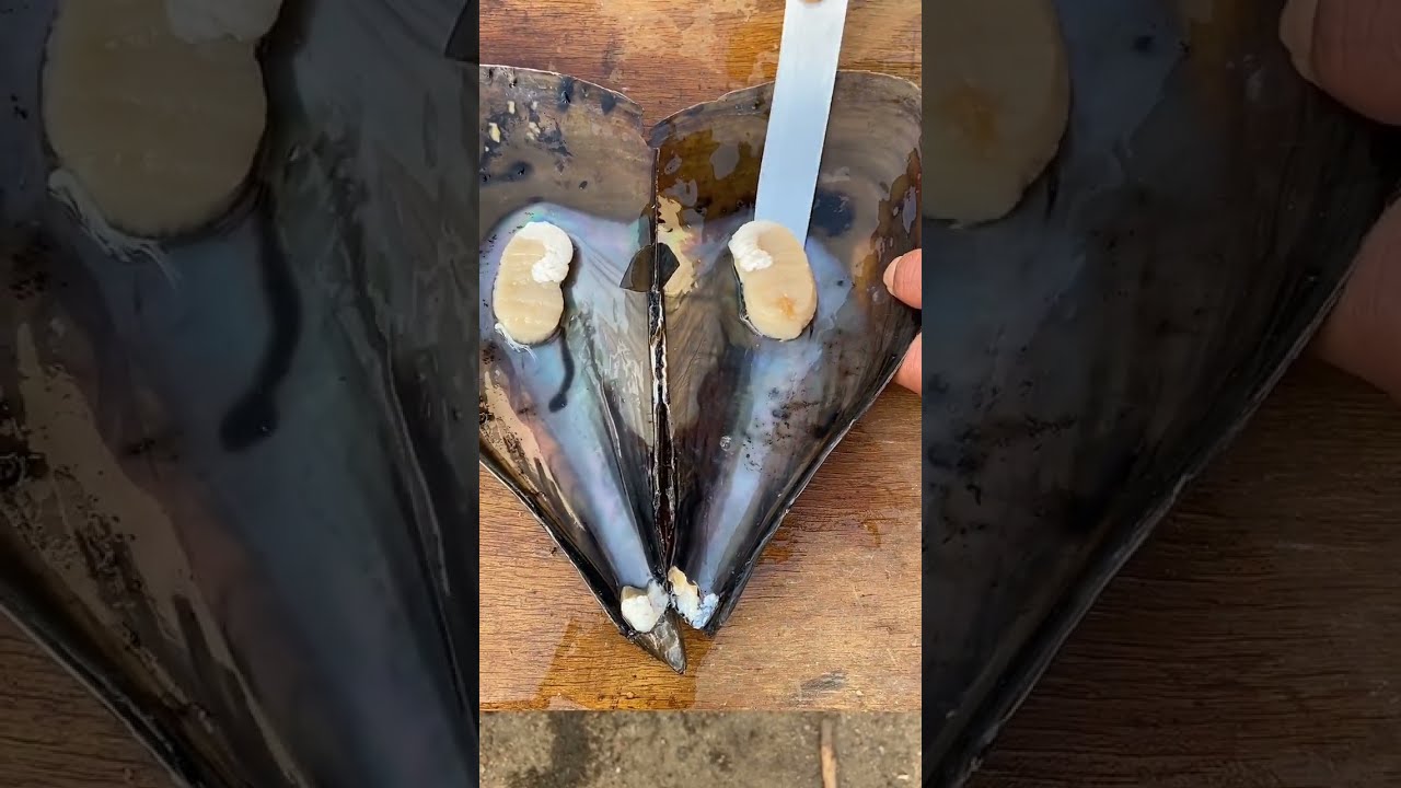  Funyfood Poor Barbecue Shorts 22
