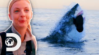 Capturing GIGANTIC Great White Shark Jumping Out Of Water! | The Spawn Of El Diablo