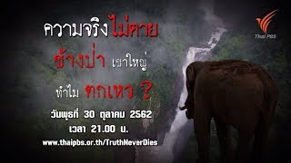 ช้างป่าเขาใหญ่ทำไมตกเหว ? : ความจริงไม่ตาย (30 ต.ค. 62)