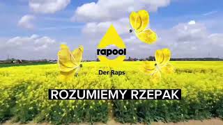 Propozycja RAPOOL Polska na sezon 2023/2024
