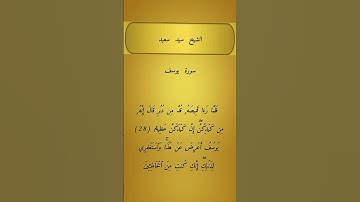 الشيخ سيد سعيد      سورة يوسف