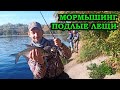 МОРМЫШИНГ. ПОДЛЫЕ ЛЕЩИ