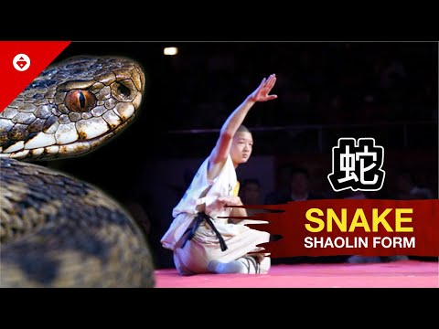 Shaolin SNAKE FIST Form by WARRIOR Monk | BEST KUNG FU
