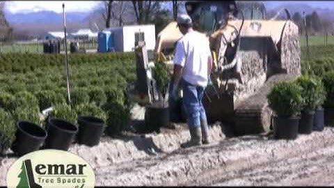 Lemar Super Pro Potter Tree Spades Shovels Manufacturer