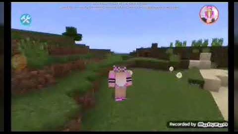How to be hack in Minecraft blockman multiplayer no mcpe no tolbox with command block