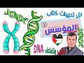 حل تدريبات كتاب المؤسس على تركيب وتضاعف DNA 2026