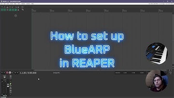 How to set up BlueARP in REAPER (tutorial)