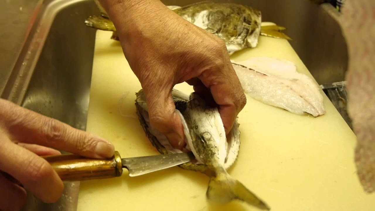 アイゴとは その釣り方と食べ方をご紹介 毒針の処理の仕方はどうする 暮らし の