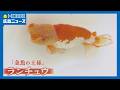 【金魚の王様】1匹20万円も ランチュウ品評会|HOME広島ニュース