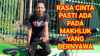 Rasa Cinta Pasti Ada - Renungkanlah