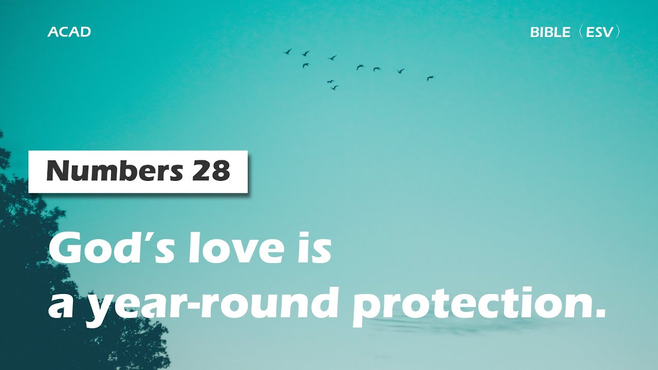 Numbers 28 God s Love Is A Year round Protection ACAD Bible Reading numbers-28-god-s-love-is-a-year-round-protection-acad-bible-reading