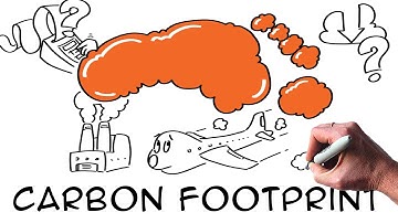 What is a CARBON FOOTPRINT? How to calculate and reduce it? | Climate change