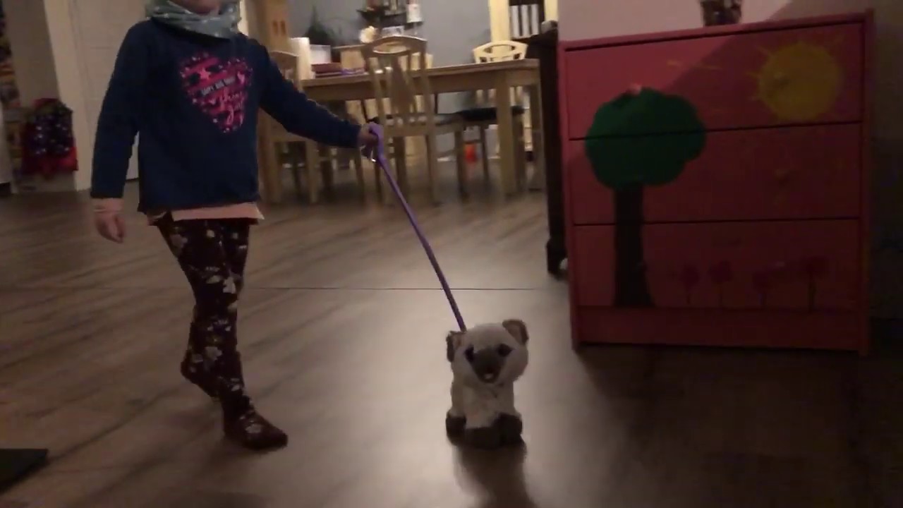 furreal my poopin kitty