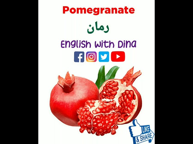 معنى ونطق كلمة pomegranate باللغة الإنجليزية على يوتيوب