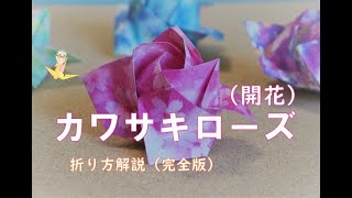 (ゆっくり解説カワサキローズ開花完全版