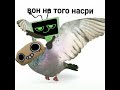 Шримпо и вопросы 2 часть#fyr#fop#DANDY'S WORLD#Shrimpo
