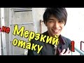 Японец отаку рассказал всю правду о своей жизни