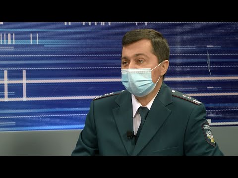 Как платить налоги быстро, просто и без очередей