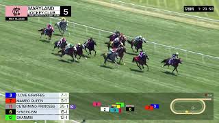 Vidéo de la course PMU ALLOWANCE