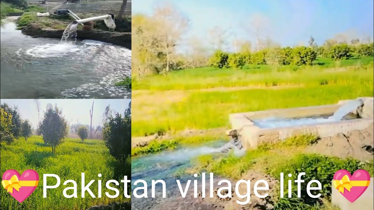 Pakistan village life 💝|My Vilog On YouTube 💝|Dilawer Gill Vilog 💝