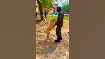 Tom 🍓Jerry, wait for end ❤️#shortvideo #shorts #trending #shortsfeed #ensarwame #charlie777